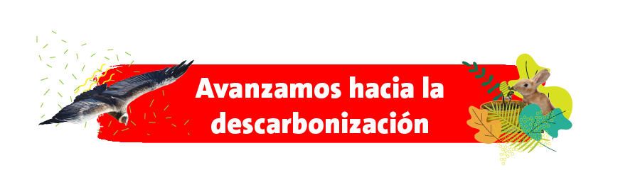 Conociendo nuestra Huella de Carbono, podemos identificar las áreas con mayor impacto y establecer estrategias para reducir las emisiones. Esto nos permite tomar decisiones informadas y adoptar medidas concretas para descarbonizar nuestras operaciones de manera efectiva.